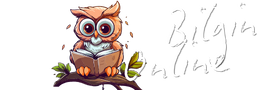 Bilgin Online Logo